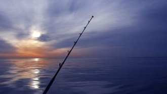 day-and-night-fishing Day and Night Fishing
